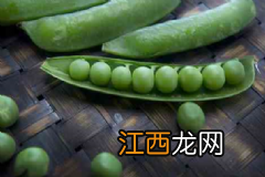 下酒菜什么最健康？下酒菜吃什么好？