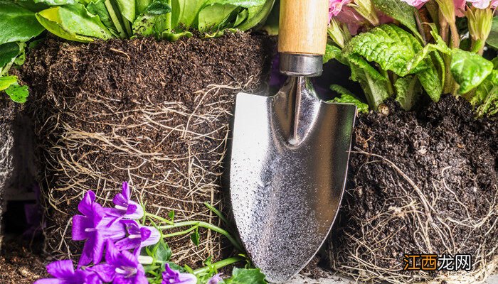 草炭土怎么制作 草炭土制作