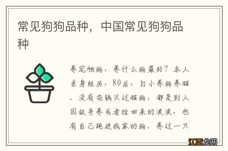 常见狗狗品种，中国常见狗狗品种