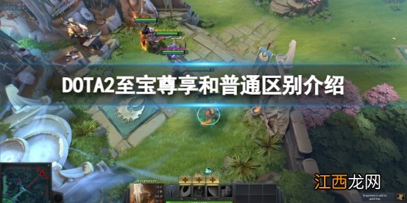 DOTA2至宝尊享和普通的区别是什么-至宝尊享和普通区别介绍