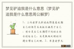 梦见驴追我是什么意思周公解梦 梦见驴追我是什么意思