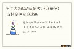 英伟达新驱动适配PC《麻布仔》 支持多种光追效果