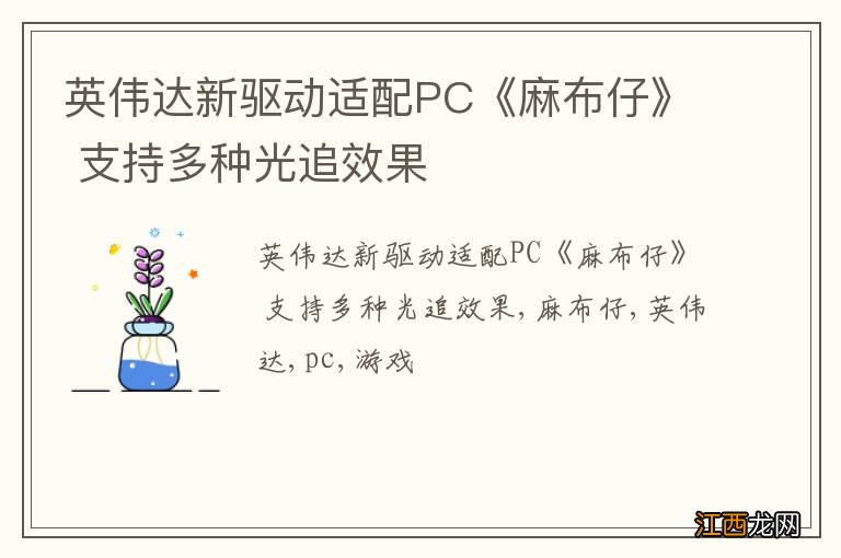 英伟达新驱动适配PC《麻布仔》 支持多种光追效果