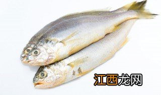 做梦梦见一堆鱼满地都是 梦见一堆鱼是什么意思