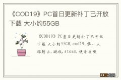 《COD19》PC首日更新补丁已开放下载 大小约55GB