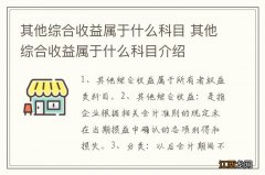 其他综合收益属于什么科目 其他综合收益属于什么科目介绍