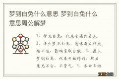 梦到白兔什么意思 梦到白兔什么意思周公解梦