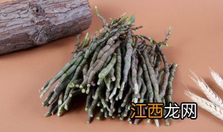 石斛什么季节种植，石斛什么季节种植好