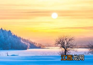 雪地里，世界纯净无比，彷佛是置身于童话里