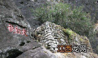 武夷山大红袍母树在哪里 武夷山大红袍母树的位置