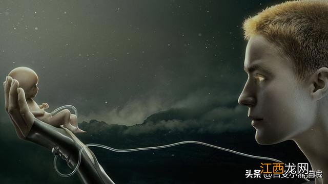 几部美剧很有料，所以给大家推荐一下