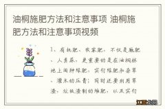 油桐施肥方法和注意事项 油桐施肥方法和注意事项视频