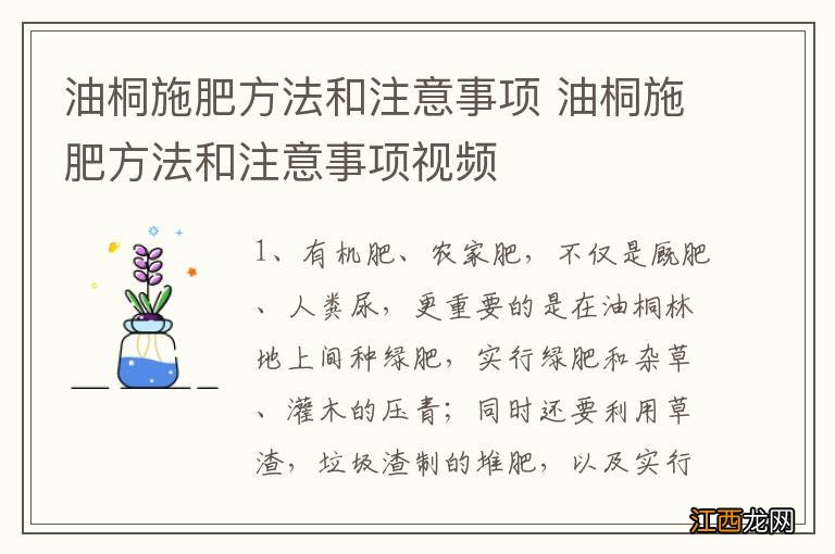 油桐施肥方法和注意事项 油桐施肥方法和注意事项视频