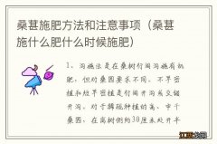 桑葚施什么肥什么时候施肥 桑葚施肥方法和注意事项