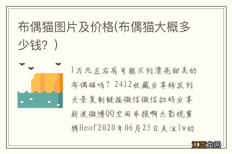 布偶猫大概多少钱？ 布偶猫图片及价格