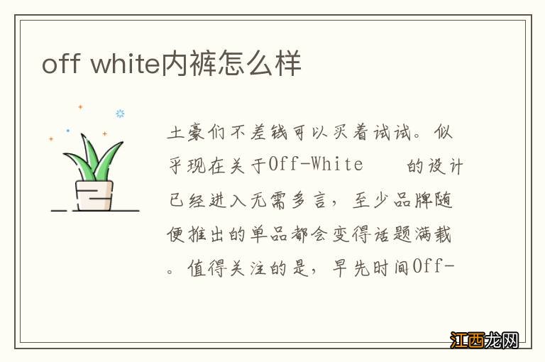 off white内裤怎么样