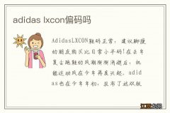 adidas lxcon偏码吗