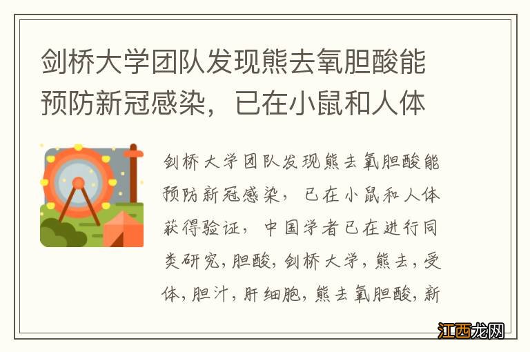 剑桥大学团队发现熊去氧胆酸能预防新冠感染，已在小鼠和人体获得验证，中国学者已在进行同类研究