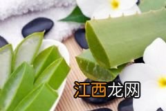 苹果醋外用有什么功效？苹果醋能美白肌肤吗？