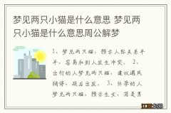 梦见两只小猫是什么意思 梦见两只小猫是什么意思周公解梦