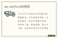 lee stafford好用吗