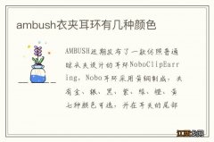 ambush衣夹耳环有几种颜色