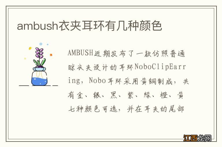 ambush衣夹耳环有几种颜色