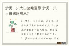 梦见一头大白猪啥意思 梦见一头大白猪啥意思?