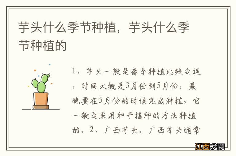 芋头什么季节种植，芋头什么季节种植的