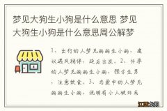 梦见大狗生小狗是什么意思 梦见大狗生小狗是什么意思周公解梦