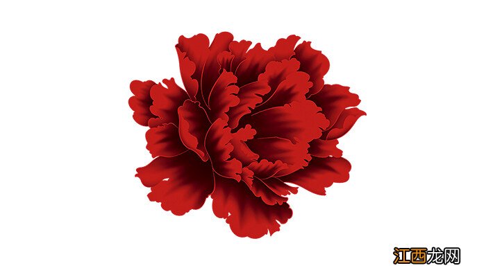 接退伍的人送什么花 接退伍军人送什么花