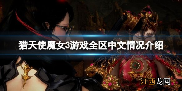 猎天使魔女3全区中文吗-游戏全区中文情况介绍