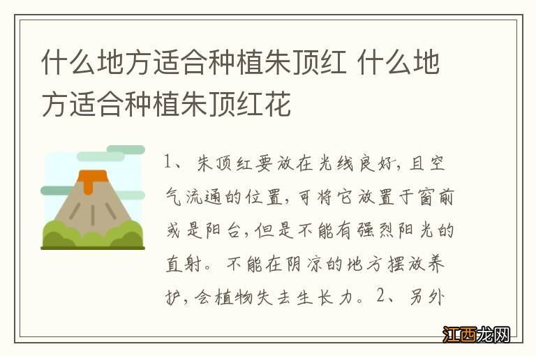 什么地方适合种植朱顶红 什么地方适合种植朱顶红花