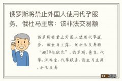 俄罗斯将禁止外国人使用代孕服务，俄杜马主席：该非法交易额“超20亿欧元”