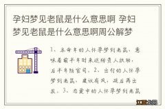 孕妇梦见老鼠是什么意思啊 孕妇梦见老鼠是什么意思啊周公解梦