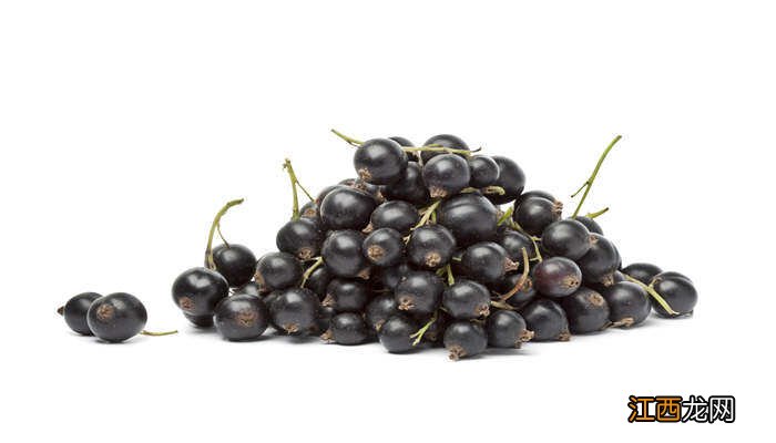 我国农村地区常见的有药用价值的植物