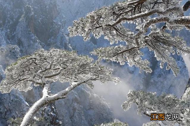冬日的黄山,真的赢麻了