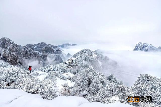 冬日的黄山,真的赢麻了