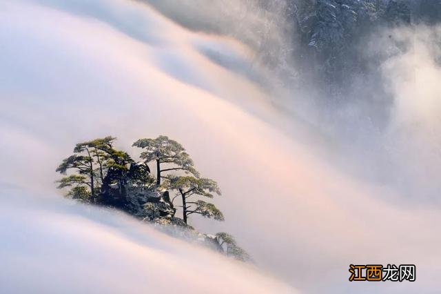 冬日的黄山,真的赢麻了