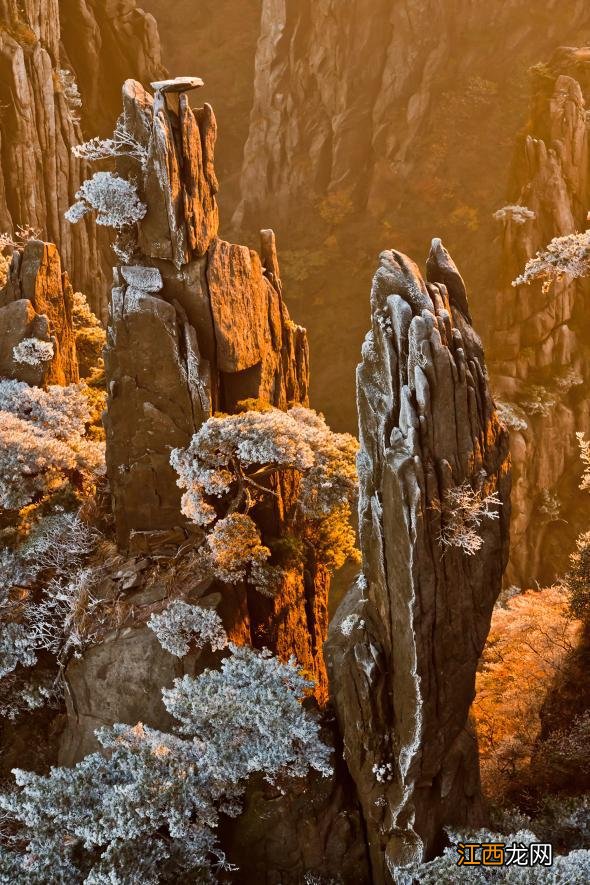 冬日的黄山,真的赢麻了