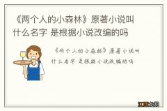 《两个人的小森林》原著小说叫什么名字 是根据小说改编的吗