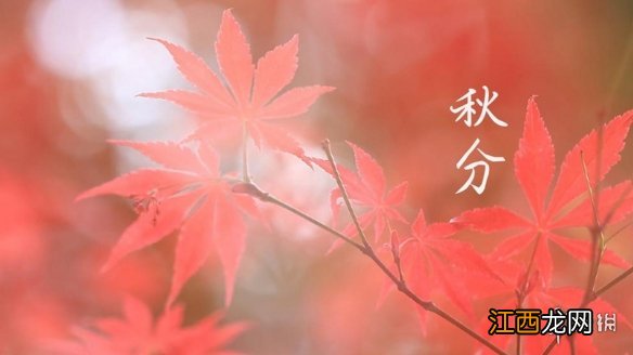 秋分节气高清壁纸分享 秋高气爽秋分时节壁纸在哪找