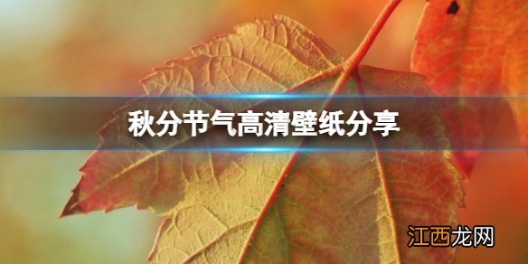 秋分节气高清壁纸分享 秋高气爽秋分时节壁纸在哪找