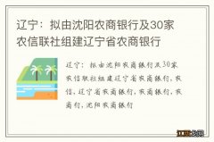 辽宁：拟由沈阳农商银行及30家农信联社组建辽宁省农商银行