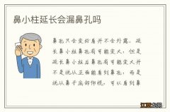 鼻小柱延长会漏鼻孔吗