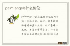 palm angels什么价位