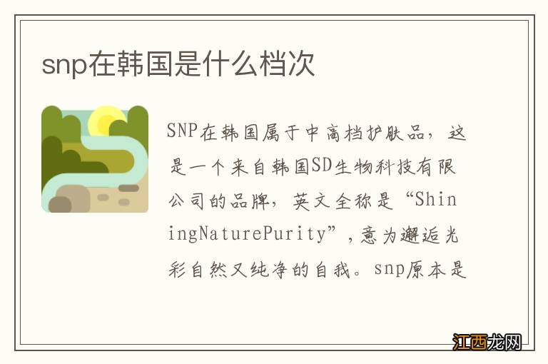 snp在韩国是什么档次