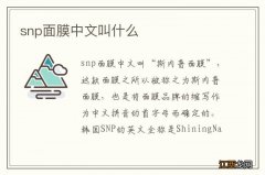 snp面膜中文叫什么