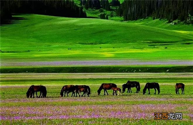 新疆,天堂遗漏在人间的最后一处净土