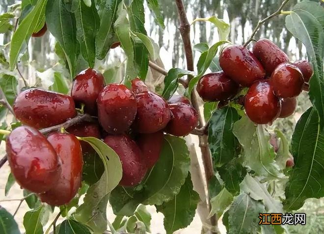 新疆，天堂遗漏在人间的最后一处净土